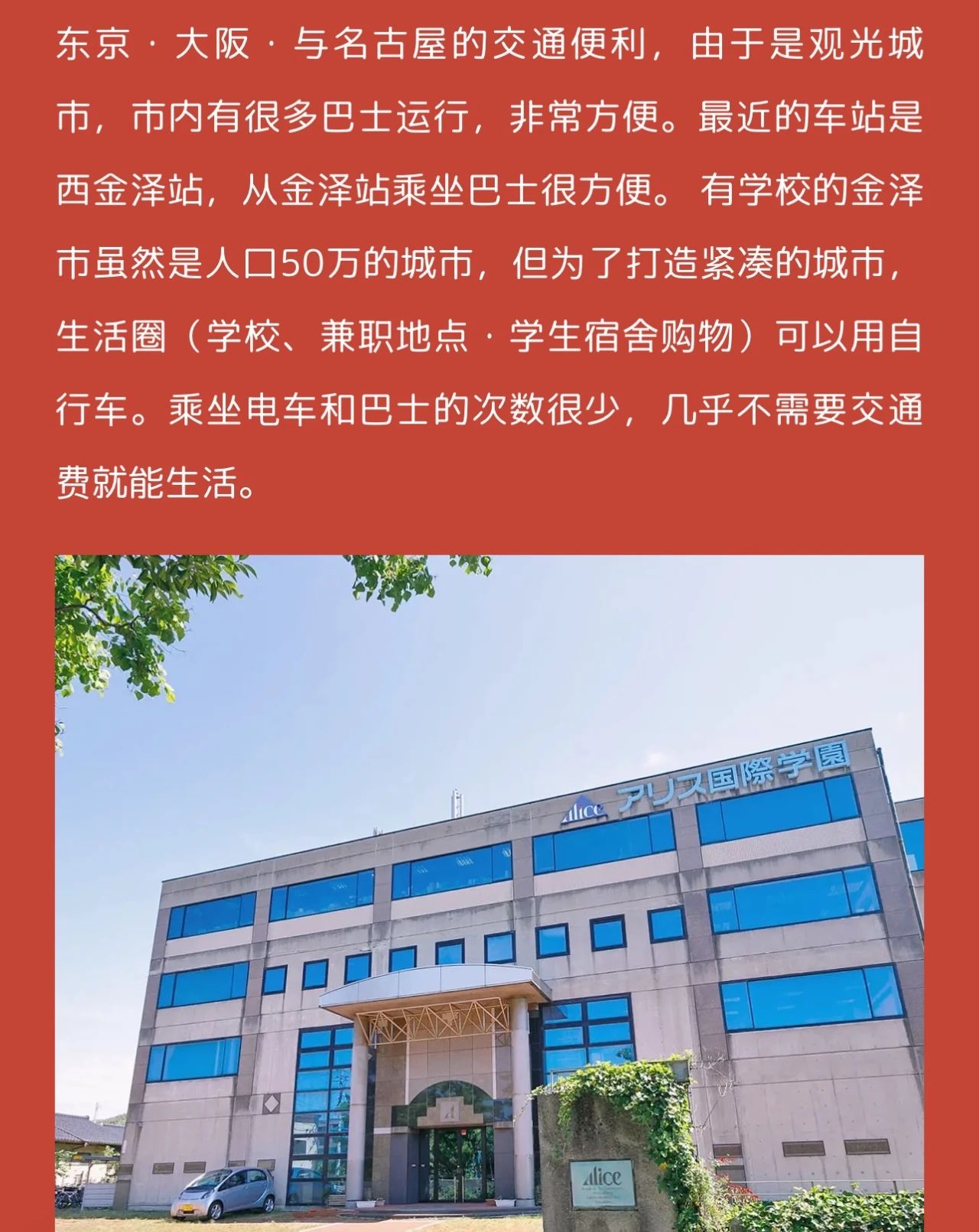 專門學(xué)校ALICE學(xué)園